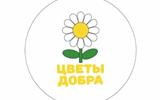 главная